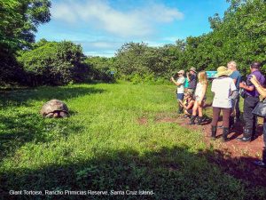 -DSC01459-Santa Cruz Island–300√