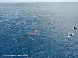 -DSC09866-San Cristobal Island–300√