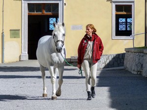 woman with a horse