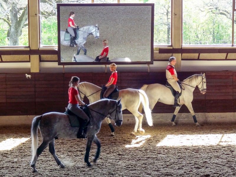 people on horses by a large mirror