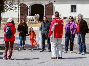 tourists at the Lipica stud farm