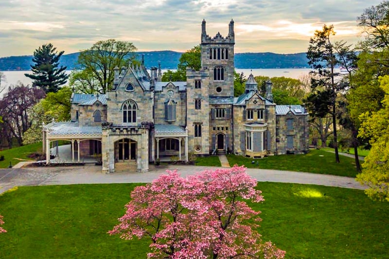 a pink bush by a Gothic building