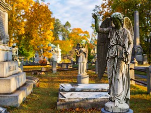 tombstones in a cemetery