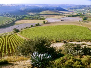 a view of a countryside