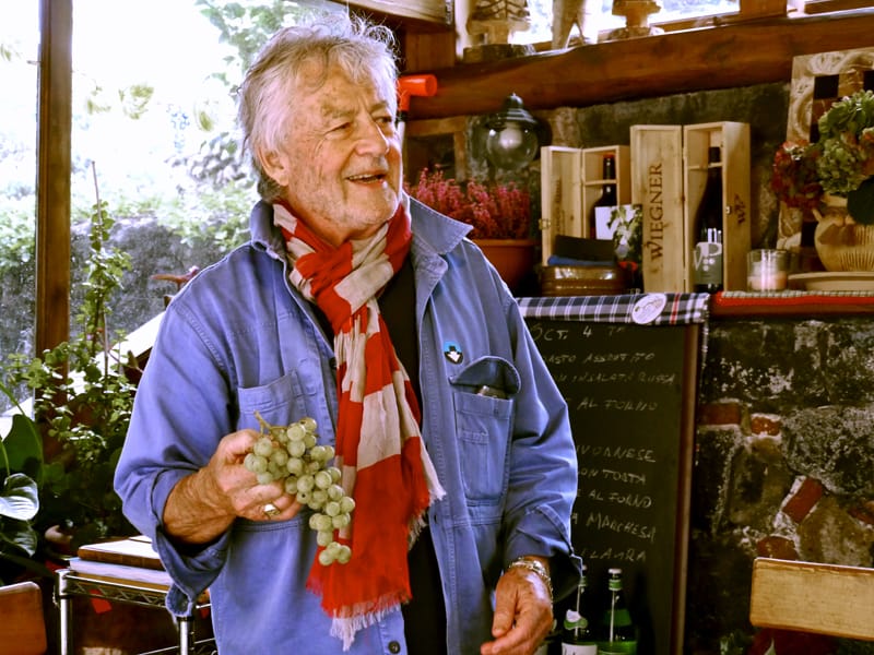 man with grapes at wineries in sicily 