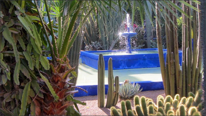 a blue fountain surrounded by cacti