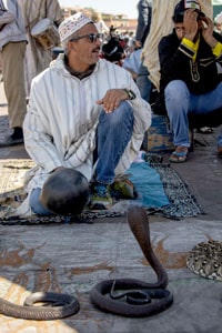 watching a snake charmer in the Jemaa el-Fna, one of the things to do in Marrakesh