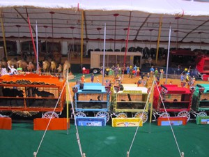 a display of a miniature circus, one of the must-see places on a Florida Gulf Coast road trip