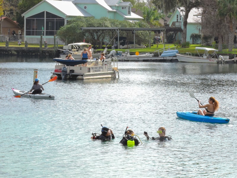 people in a river and in kayaks 