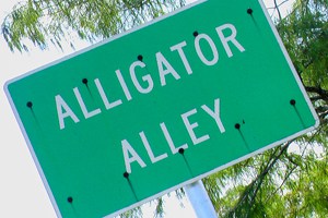 an alligator alley sign