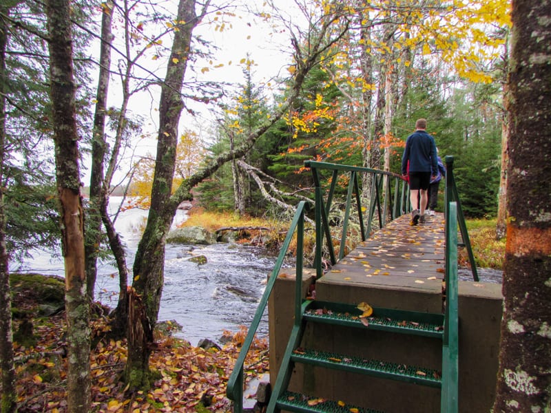 people walking across a small bridge over a stream in the forest