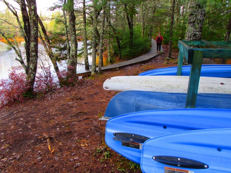 blue paddle boards and kayaks along a forest path by a river