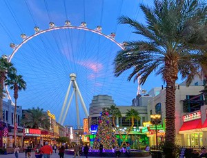 a giantF erris Wheel