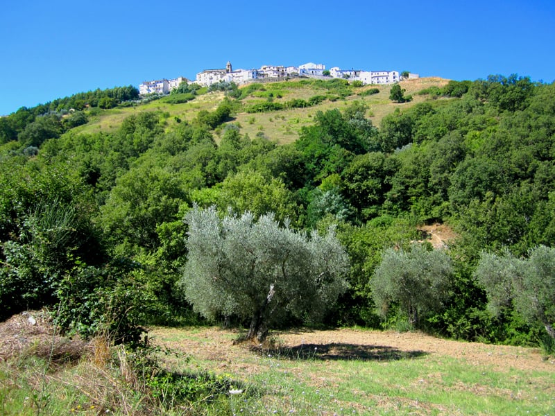 a distant view of Accettura, the hometown of my ancestral family in Italy