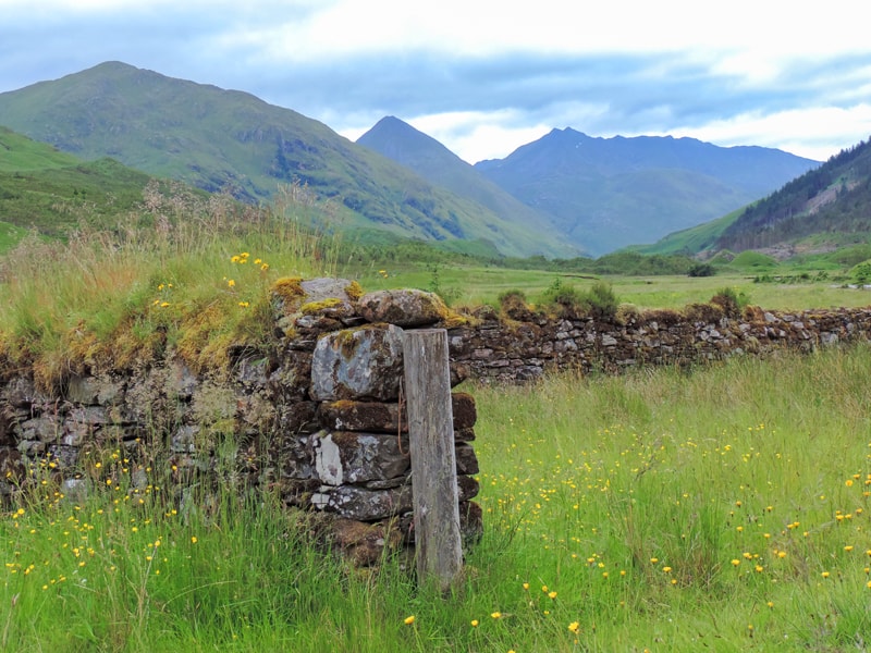 flowers by an old stone wall with mountains in the distance