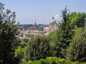 Looking through the trees at a city in the distance