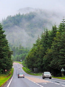 cars on a road in a forest, seen on a Highlands of Scotland road trip