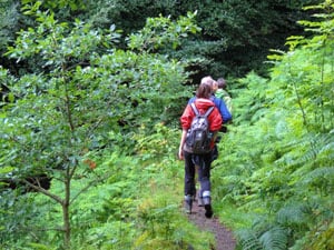 hikers walking through the woods - one of the attractions of the Lake District