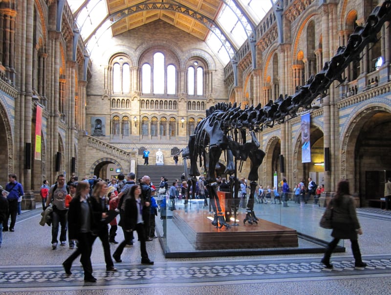 people in a great hall in one of the museums of South Kensington