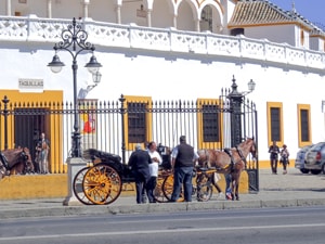 carriage drivers and their horses