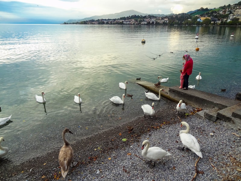 a woman and child looking at swans in Montreux Switzerland