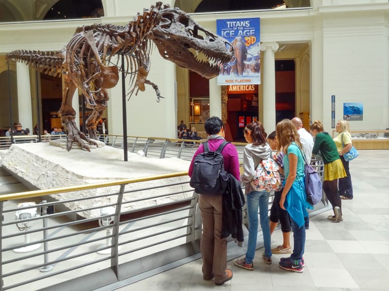 people by a dinosaur skeleton in a museum, one of the things to do in Chicago