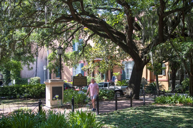 a man walking through a park, one of the things to do in Savannah