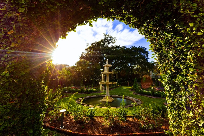 a fountain on a vast lawn in one of Florida’s botanical gardens