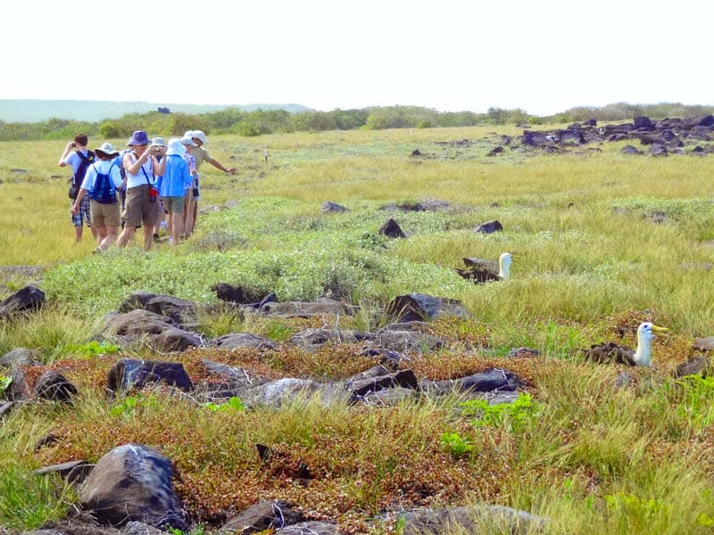 a group of people looking at birds in a field seen on a Galapagos cruise vacation