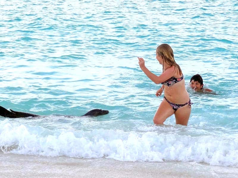 two children playing with a sea lion in the water seen on a Galapagos cruise vacation