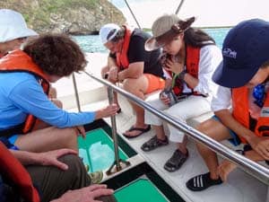 people in a glass bottom boat on a Galapagos cruise vacation