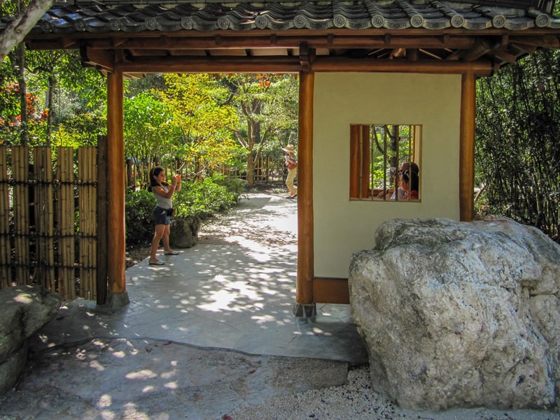 a small girl taking a photo in one of Florida’s botanical gardens