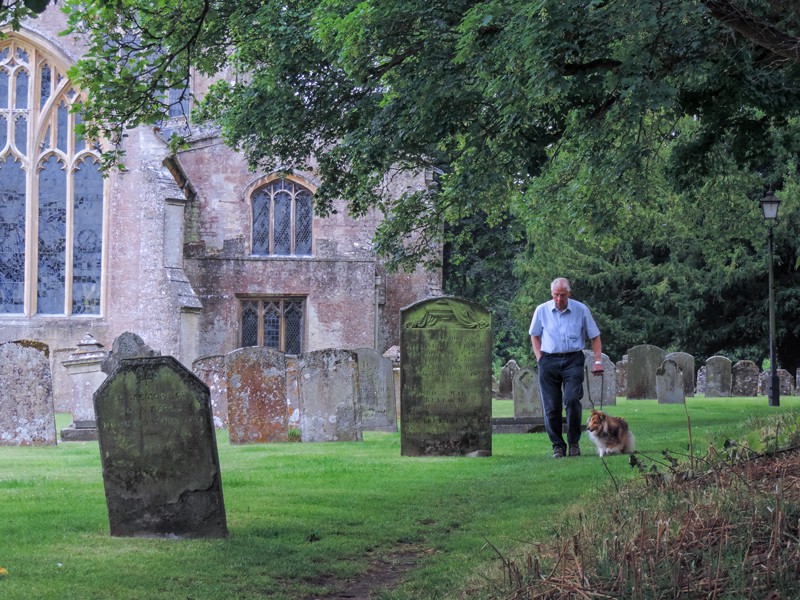 a man walking his dog in a cemetery of an old church
