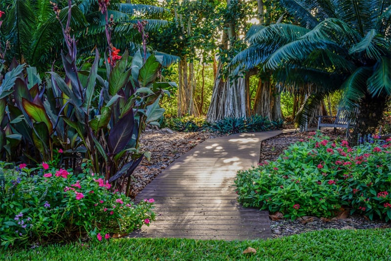 a walkway through woodlands in one of Florida’s botanical gardens