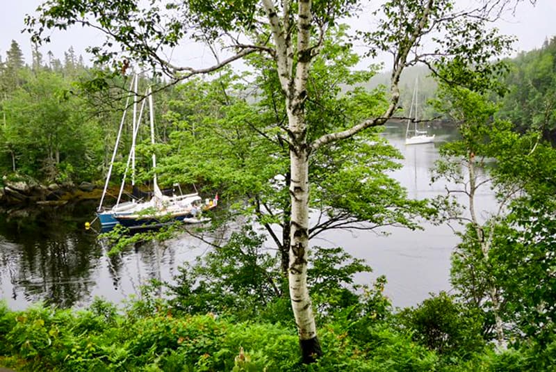 boats on a river in a forest see at Liscombe Lodge