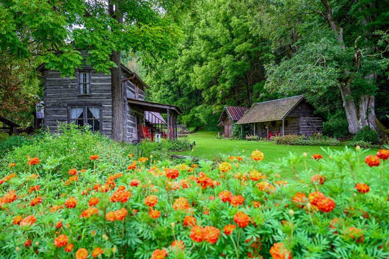 old log cabins in teh woods with wildflowers aall about