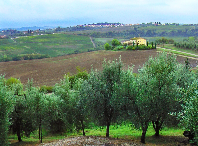 the Italian countryside that you'll see when you rent a villa in Italy