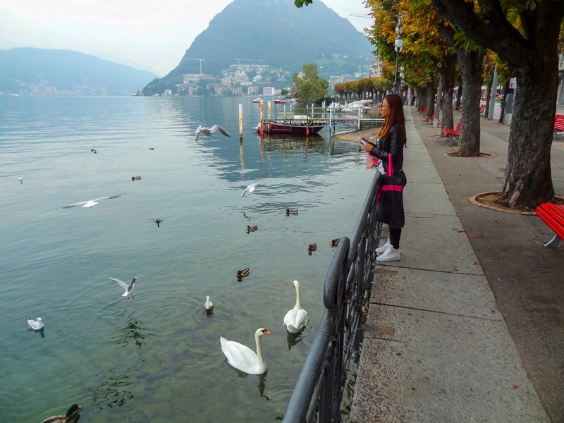 a woman feeding swans, one of the things to do in Lugano
