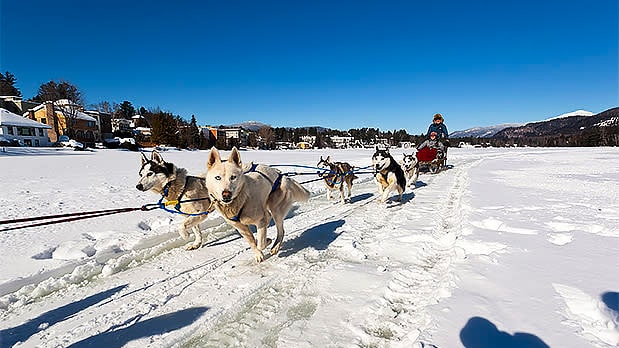 dogsleds near the Lake Placid Olympic Center