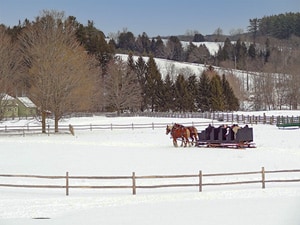 a horsedrawn sleigh in a field