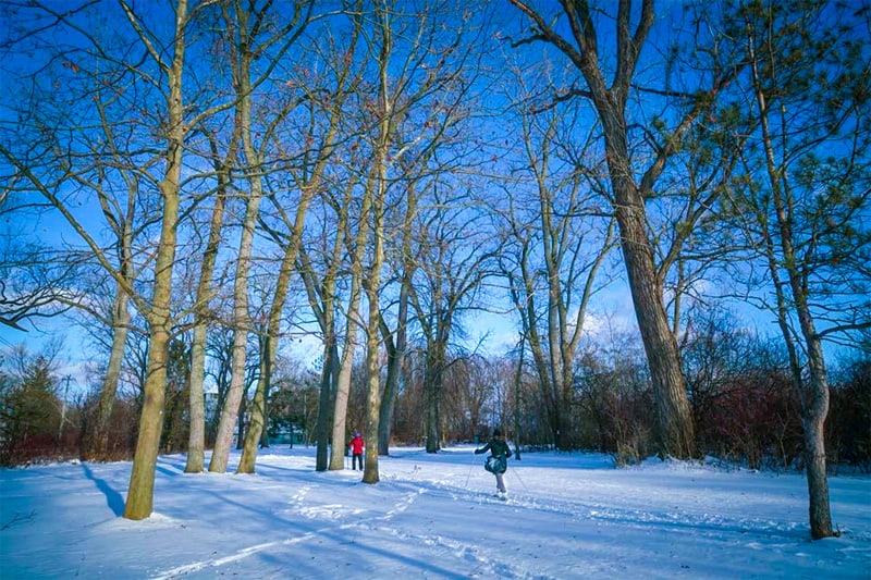 people cross country skiing seen in Toronto in the winter