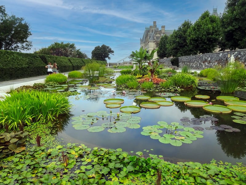 two women looking at lily pond in one of the best botanical gardens in the USA