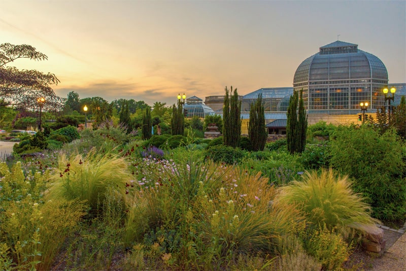 plants near a conservatory at sunset in one of the best botanical gardens in the USA