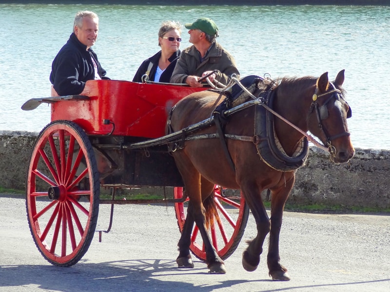 3 people in a bright red horse cart seen while staying at Ireland bed and breakfasts