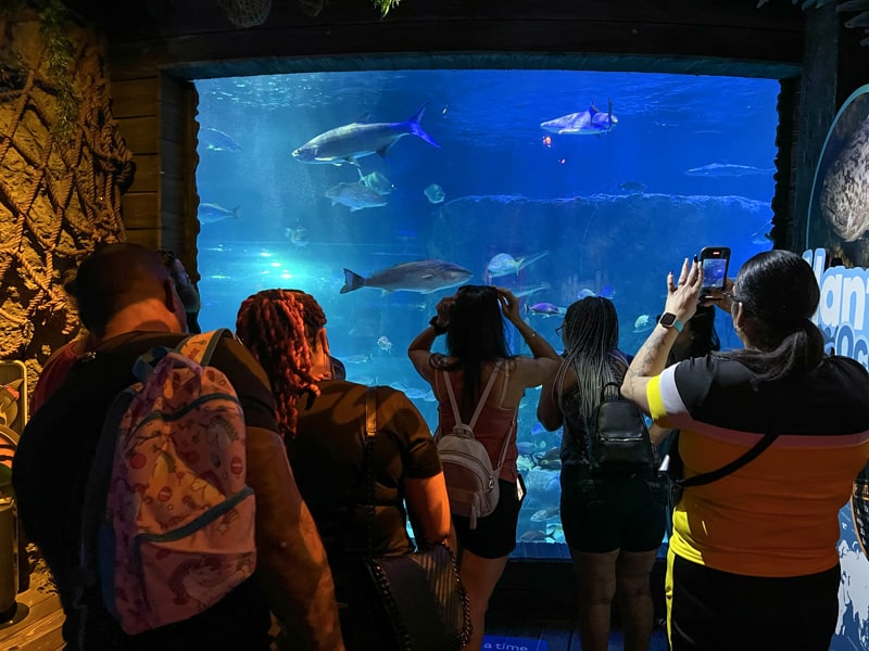 people in an aquarium looking at fish in a large tank - one of the Things to Do in Orlando for Adults