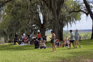 people walking across a lawn beneath large old trees - one of the Things to Do in Orlando for Adults
