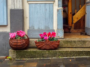 bright read and pink flowers in baskets in Bamberg Germany