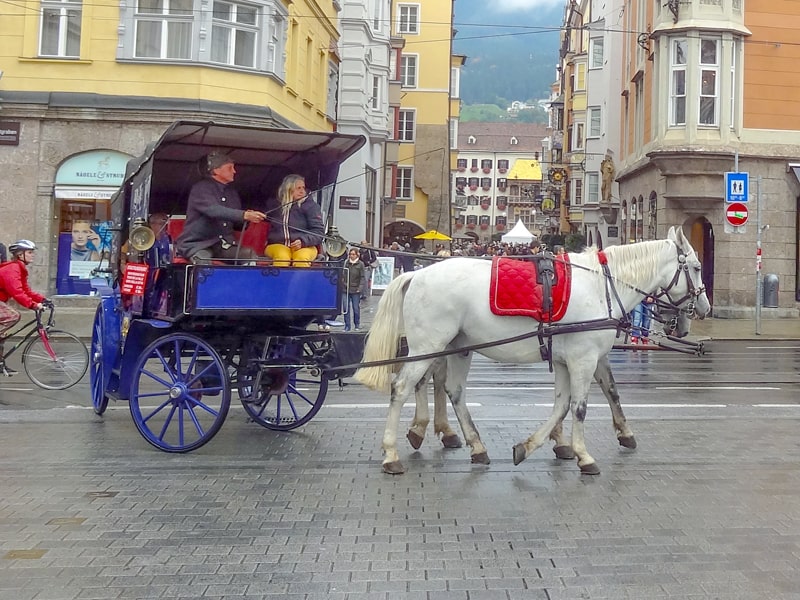 a blue horse-drawn-carriage with a white horse
