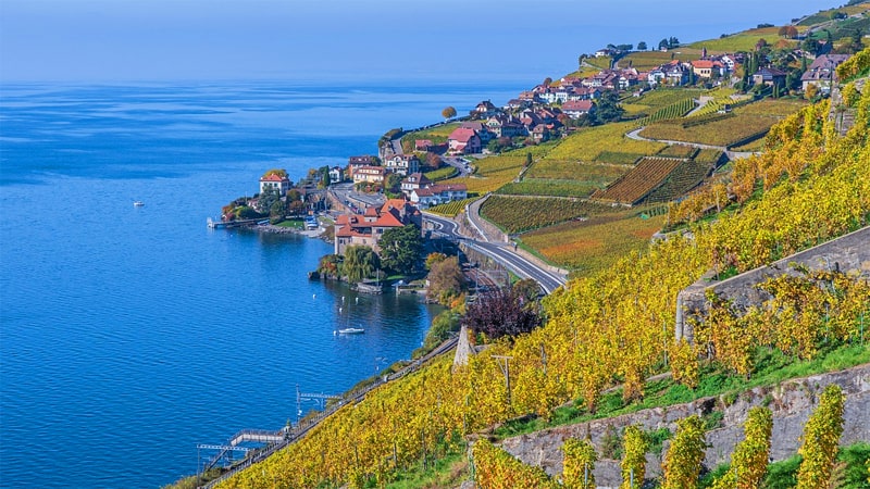 Vineyard on a steep hillside by Lake Geneva, one of the best places in Switzerland