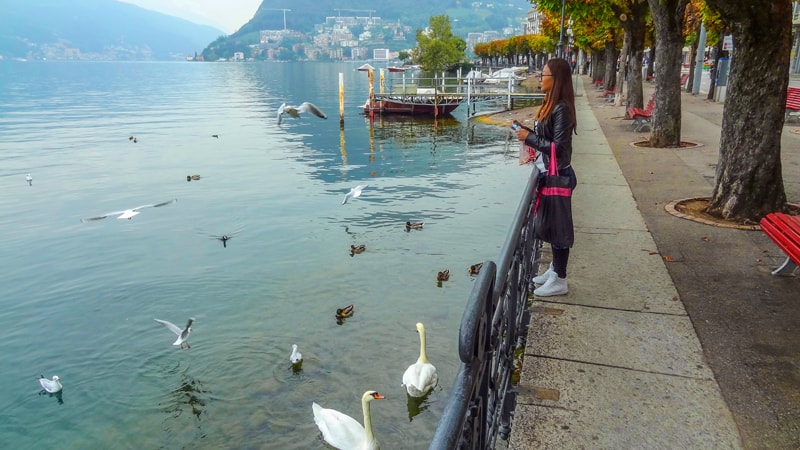 a woman looking out over a lake with swans swimming by her